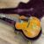 1962 D'Angelico New Yorker - Image 16